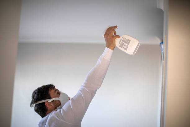 Best HVAC Mold Remediation in Woodsboro, TX