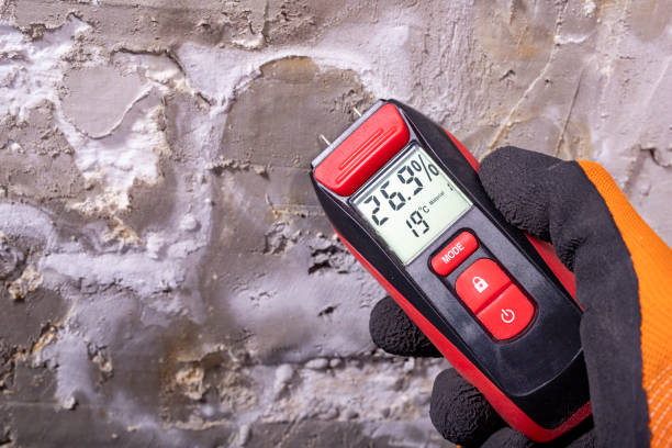 Best Localized Mold Remediation (e.g., coastal areas, humid climates) in Woodsboro, TX
